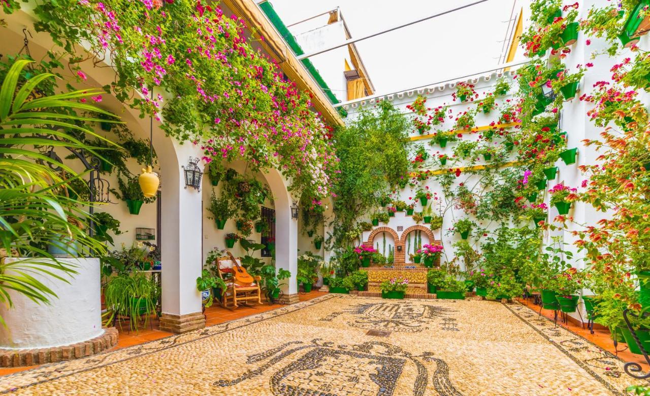 Centrico Apartamento Jardines De Vallellano Córdoba Exteriör bild